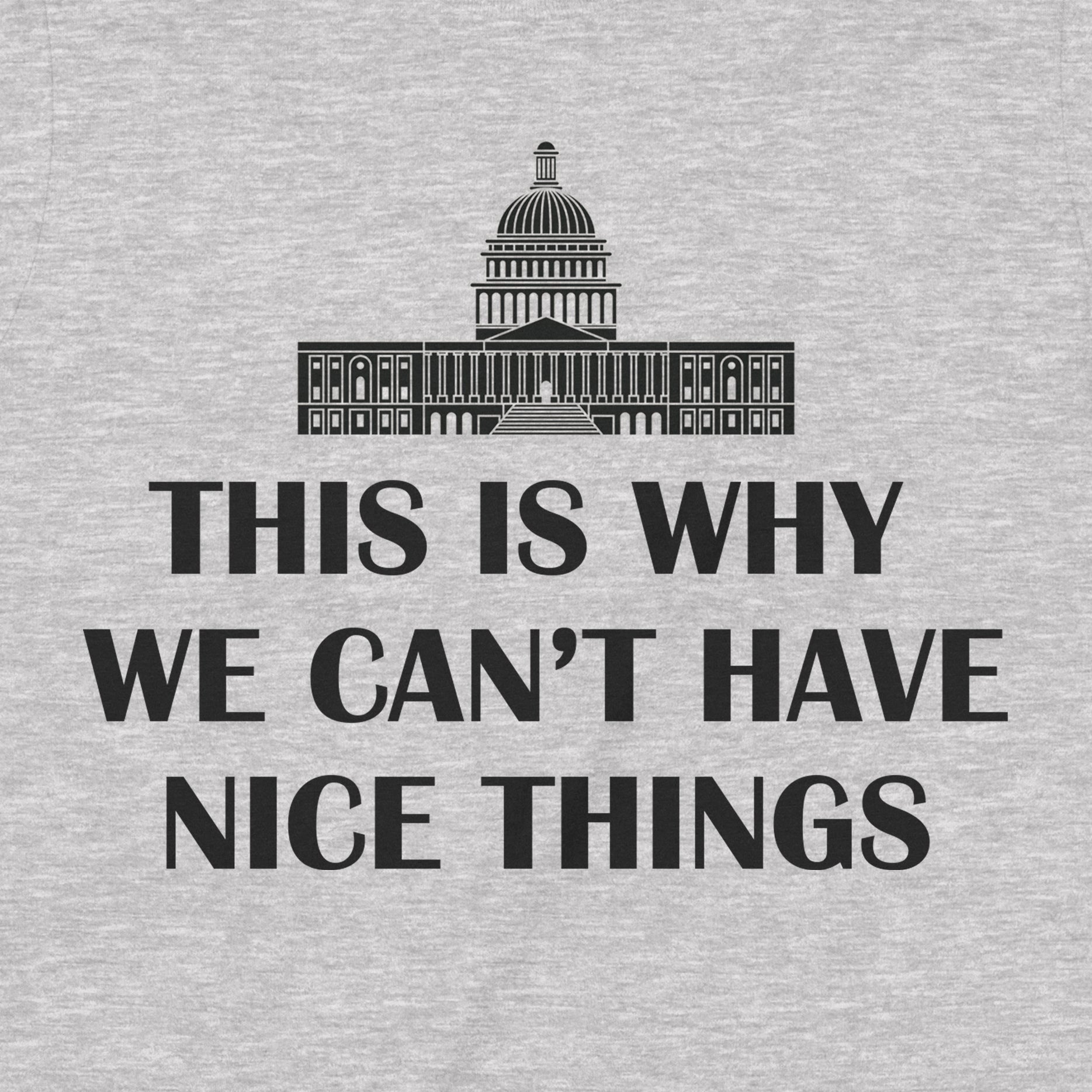 Close-up of heather grey t-shirt graphic featuring the U.S. Capitol and text “This is why we can’t have nice things.”