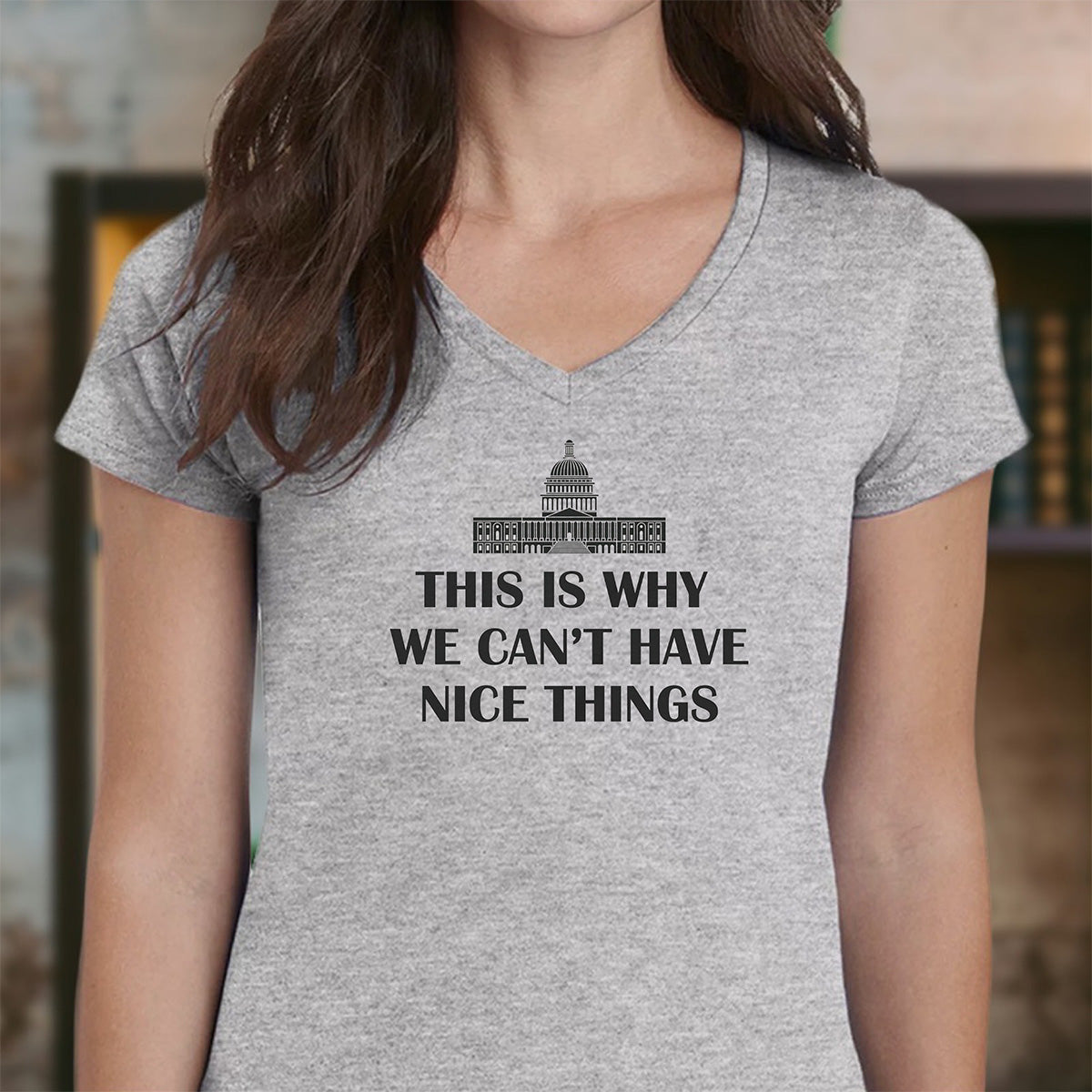 Heather gray women's V-neck tee with US Capitol icon and text This Is Why We Can't Have Nice Things, witty political graphic
